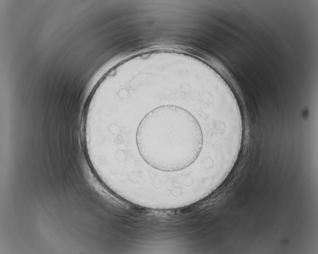 X0000115110955200912081318