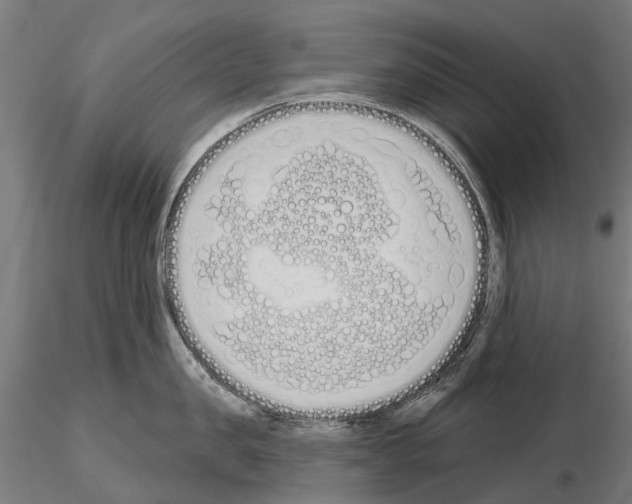 X0000115110957200912081318