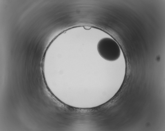 X0000115110958200912081318