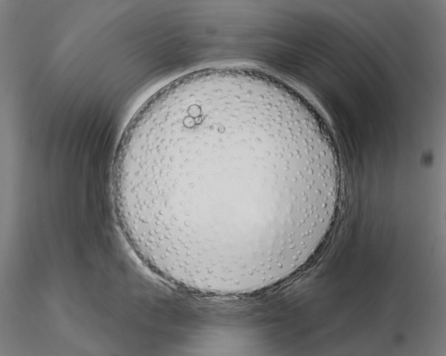 X0000115110959200912081318