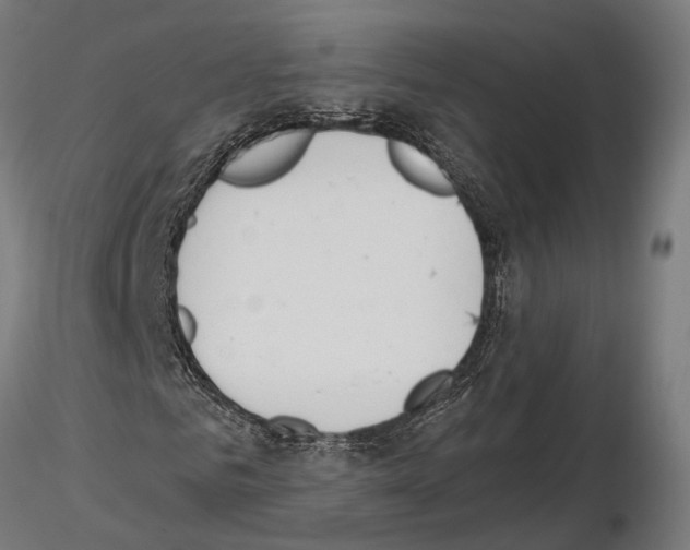 X0000115110961200912081318