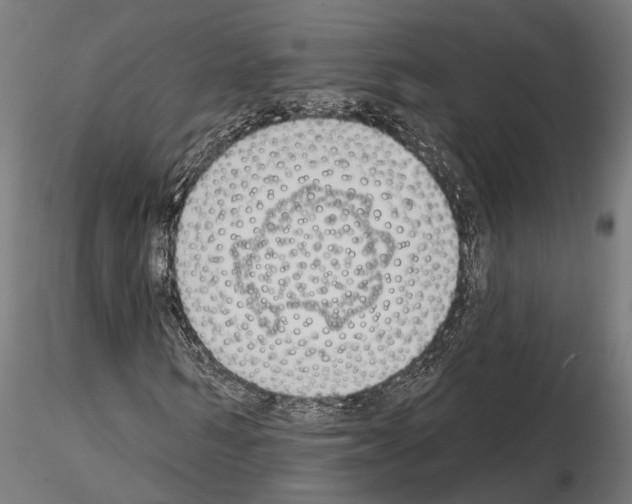 X0000115110962200912081318