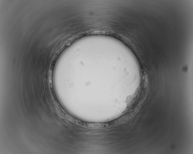 X0000115110963200912081318