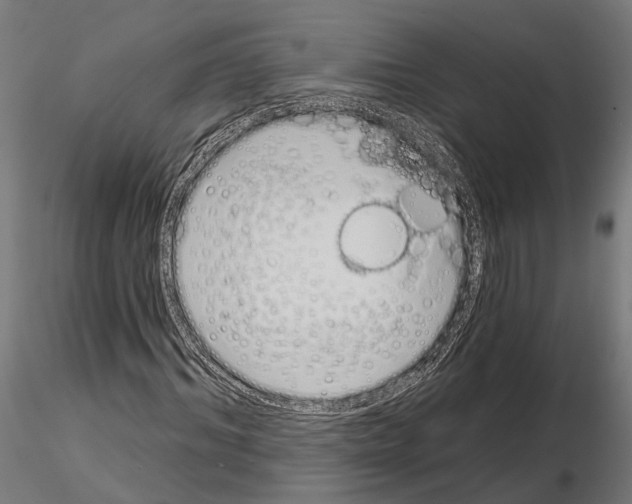 X0000115110964200912081318