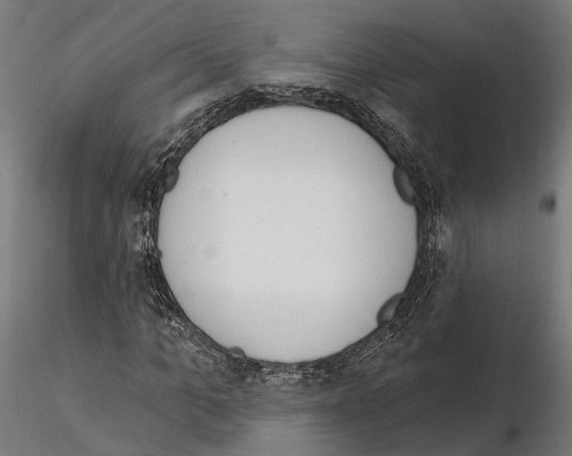 X0000115110965200912081318