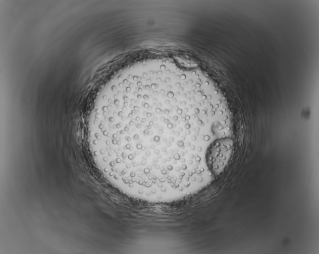 X0000115110966200912081318