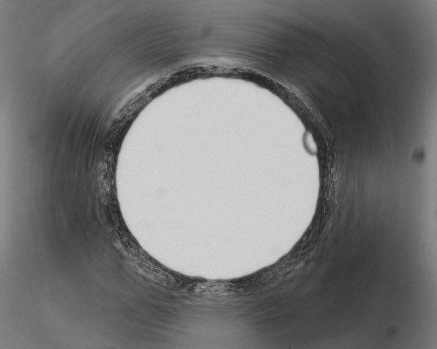 X0000115110967200912081318