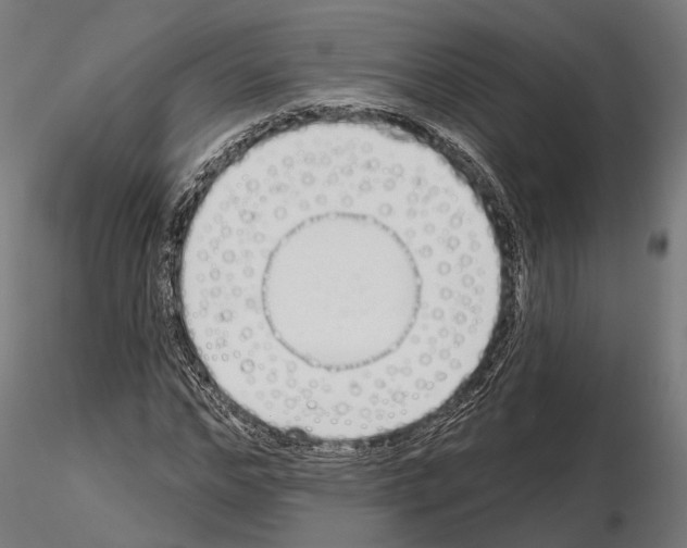 X0000115110968200912081318