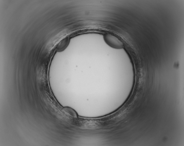 X0000115110969200912081318