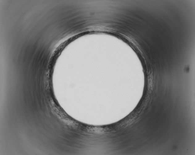 X0000115110971200912081318