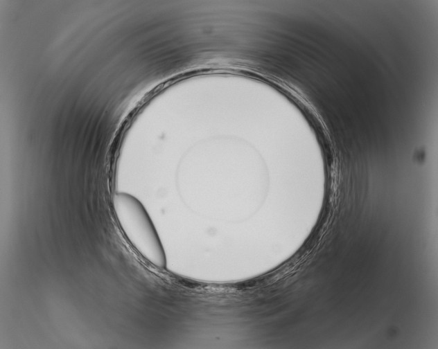 X0000115110972200912081318