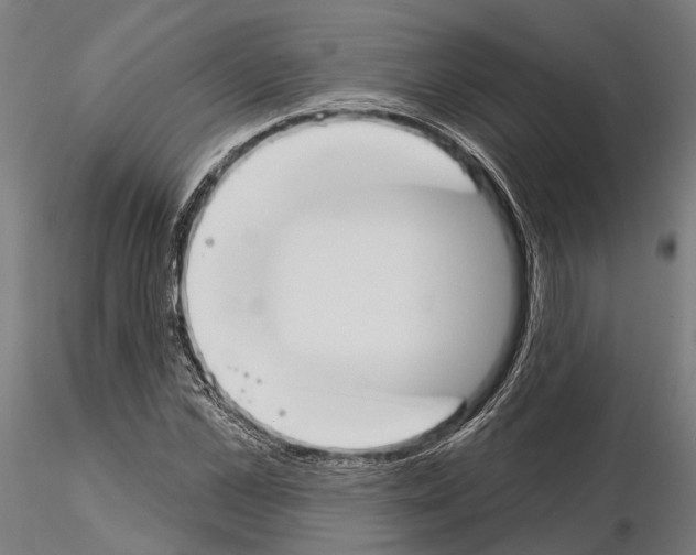 X0000115110973200912081318