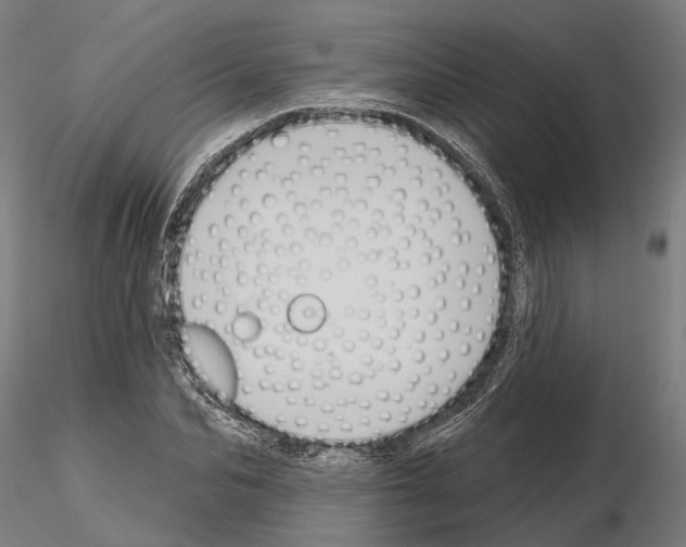 X0000115110974200912081318