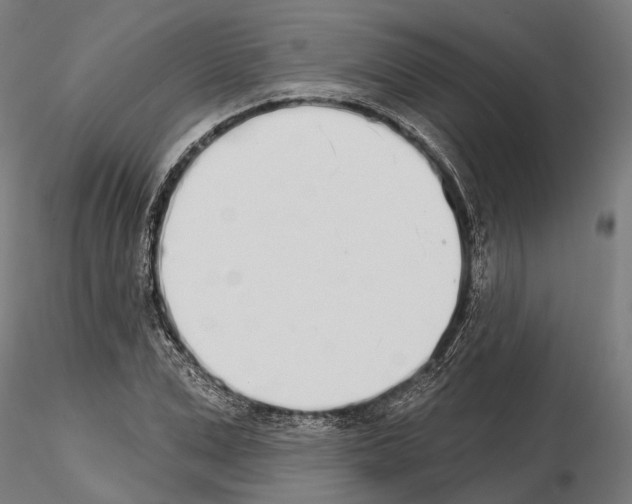 X0000115110975200912081318