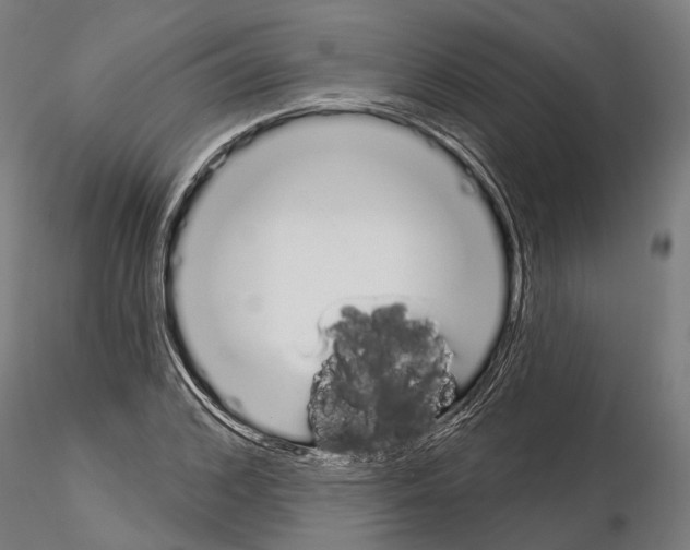 X0000115110976200912081318