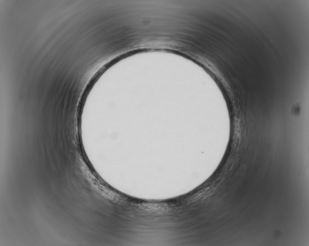 X0000115110980200912081317