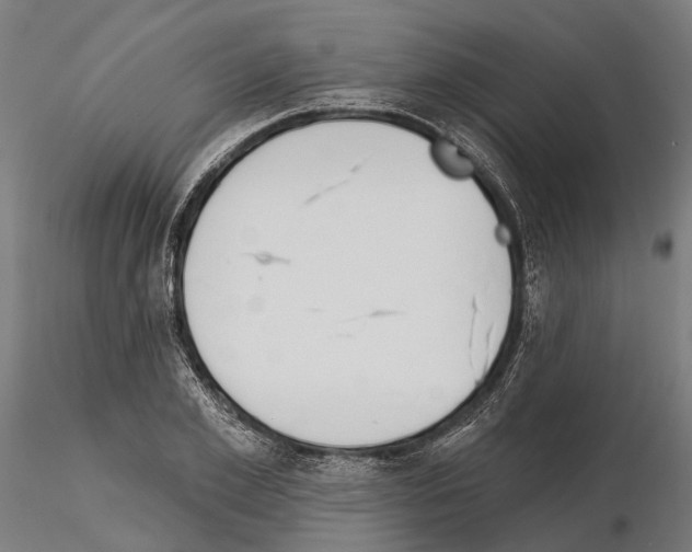 X0000115110981200912081317