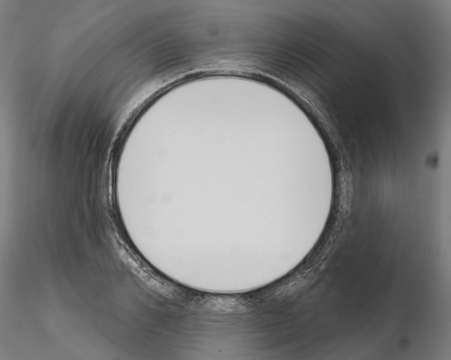 X0000115110982200912081317