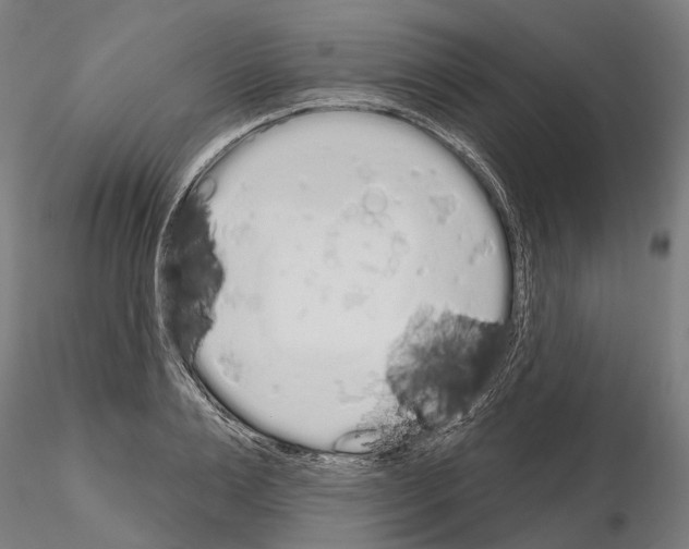 X0000115110983200912081317