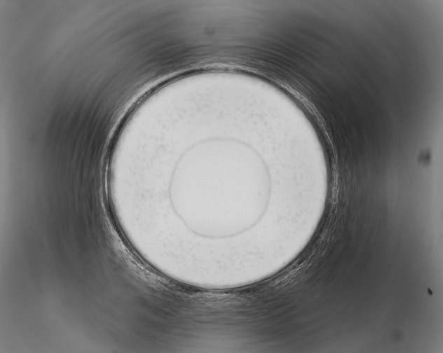 X0000115110984200912081317