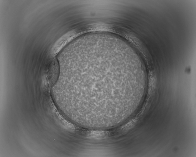 X0000115110985200912081317