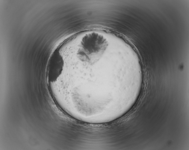 X0000115110987200912081317