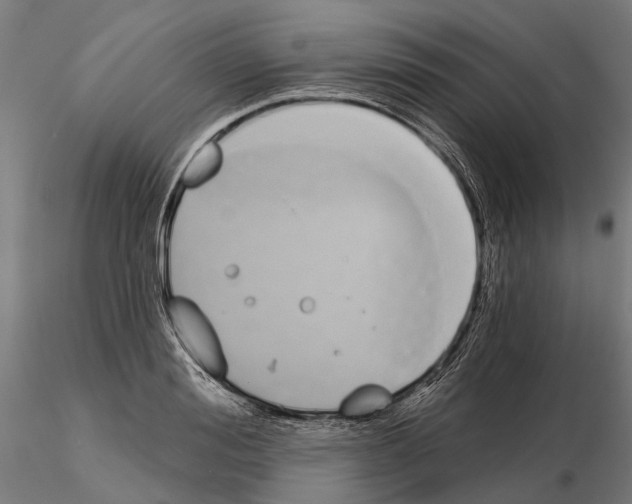 X0000115110988200912081317