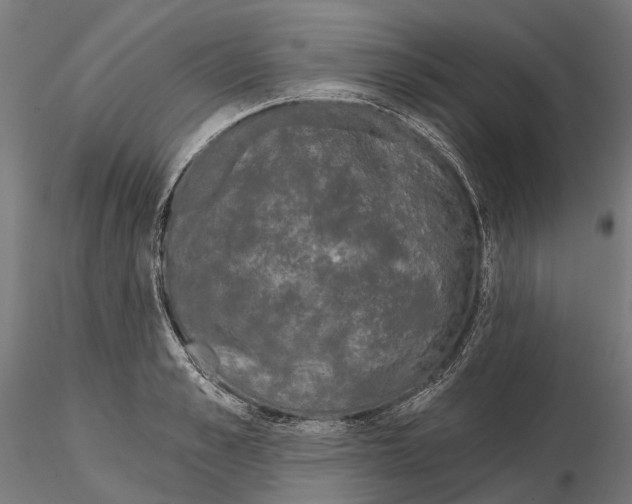 X0000115110989200912081317