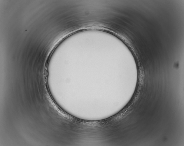 X0000115110990200912081317