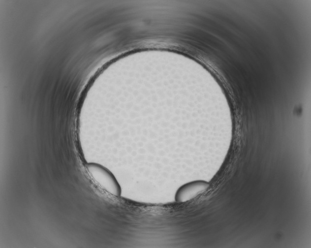 X0000115110992200912081317