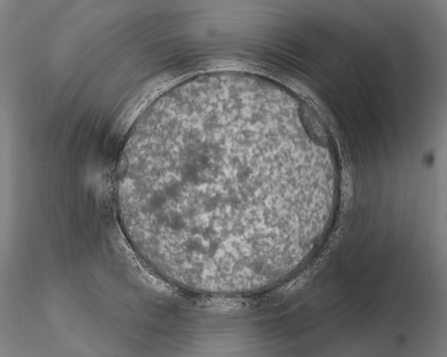 X0000115110993200912081317