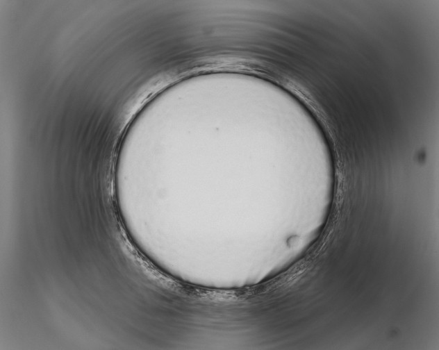 X0000115110994200912081317