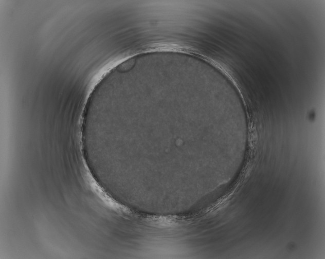 X0000115110995200912081317