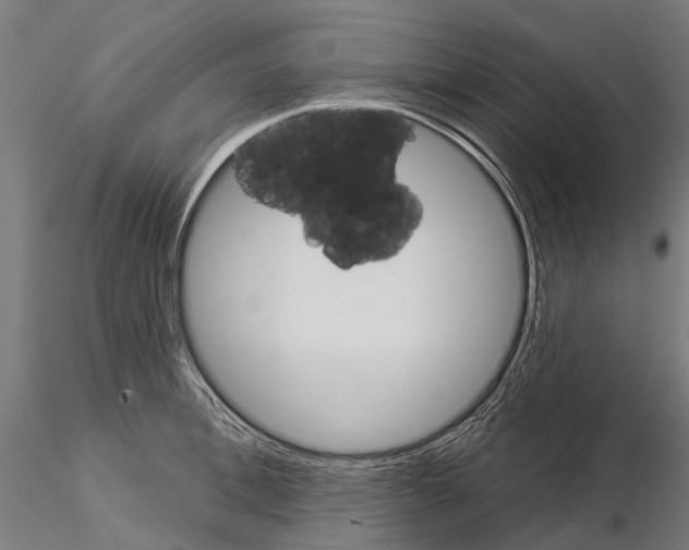 X0000115110996200912081317