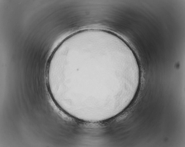 X0000115110998200912081317