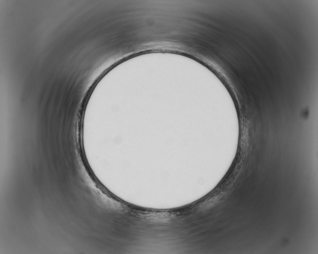 X0000115110999200912081317