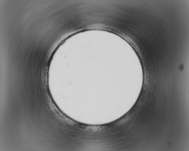 X0000115111000200912081317