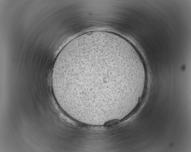 X0000115111001200912081317