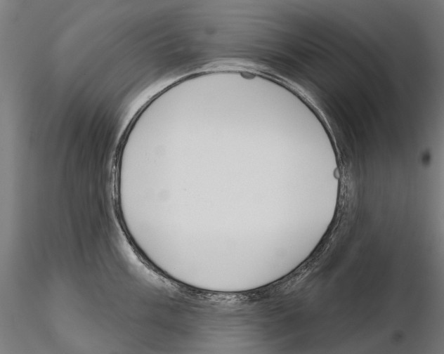 X0000115111003200912081317