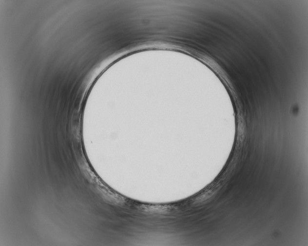 X0000115111004200912081317