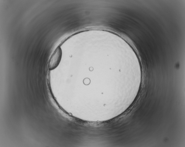 X0000115111005200912081317