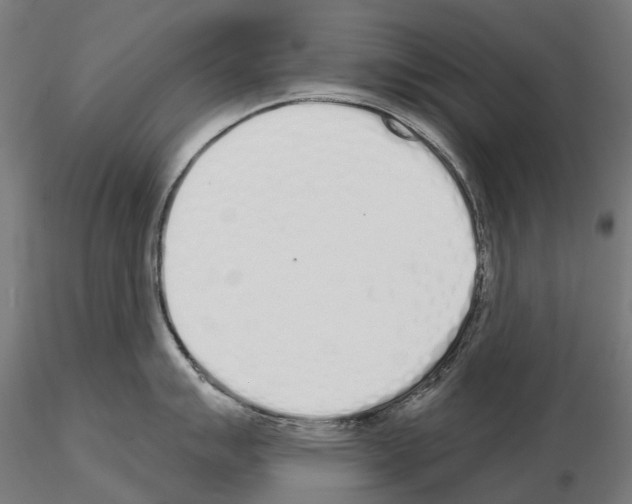 X0000115111007200912081317