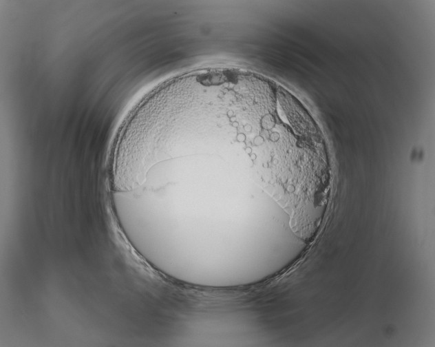 X0000115111008200912081317