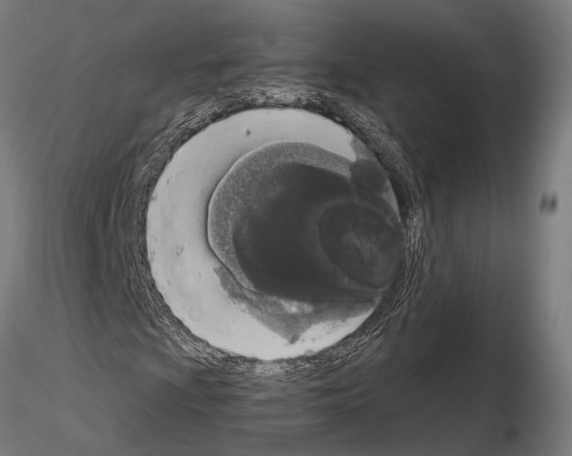 X0000115111009200912081316