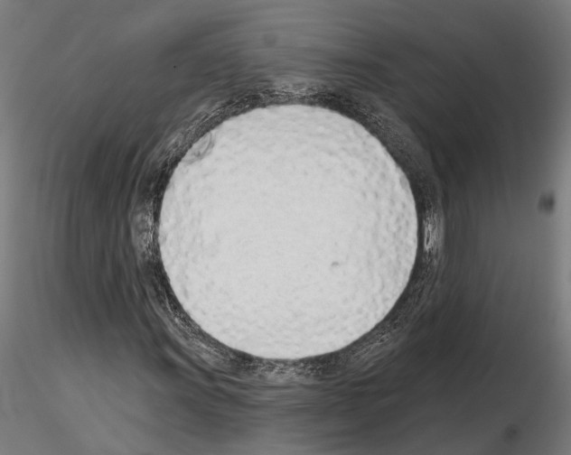 X0000115111011200912081316