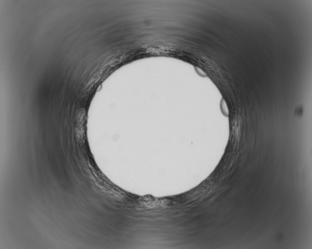 X0000115111012200912081316