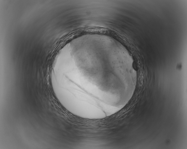 X0000115111013200912081316