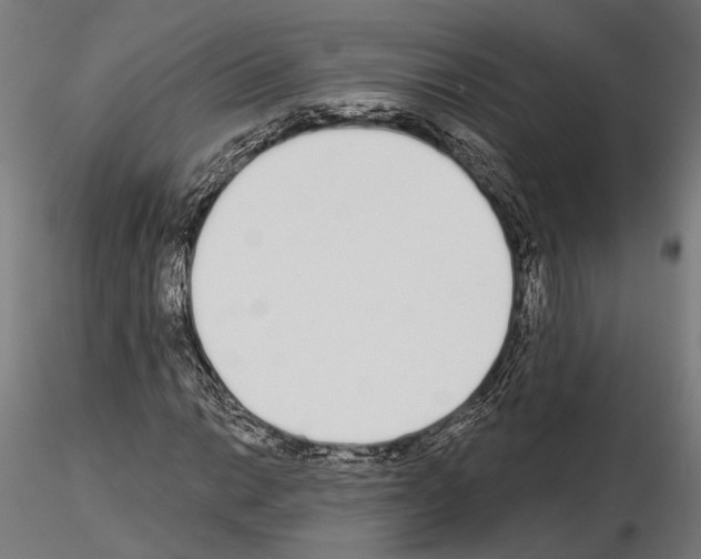 X0000115111014200912081316