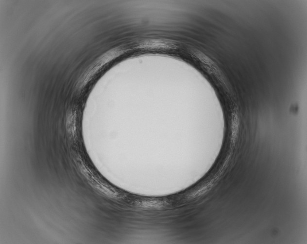 X0000115111017200912081316