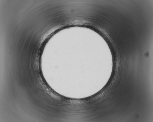 X0000115111018200912081316